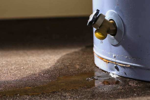  Van Meter, IA Water damage restoration Pros