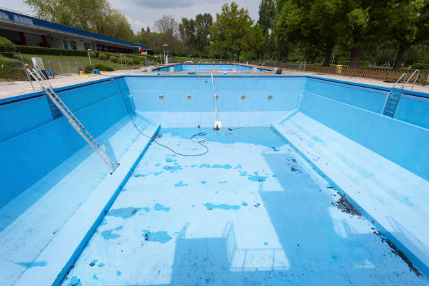 Best Professional water damage repair  in Van Meter, IA
