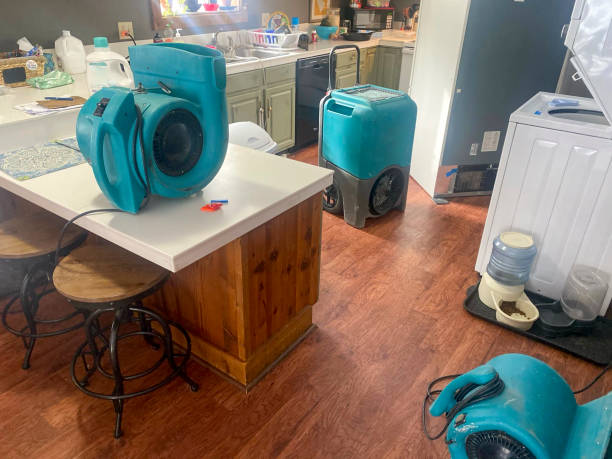 Best Basement water damage restoration  in Van Meter, IA