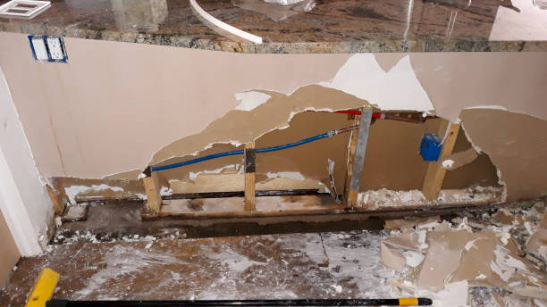 Best Water damage restoration insurance claims  in Van Meter, IA
