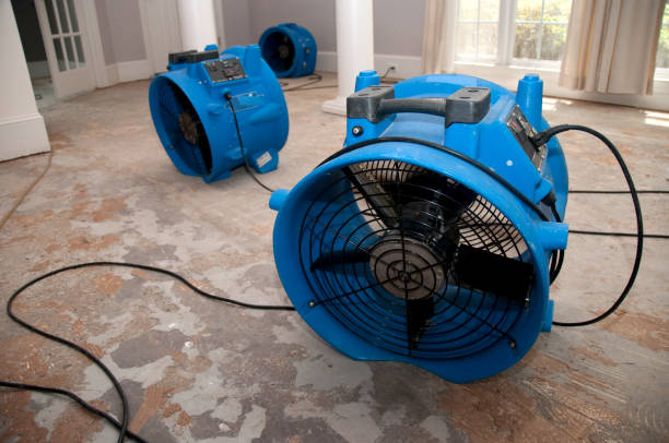 Best Emergency water damage restoration  in Van Meter, IA