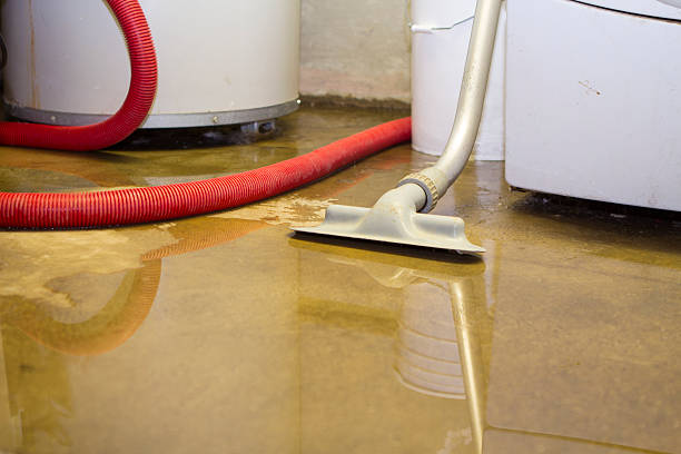 Best Water damage contractors near me  in Van Meter, IA