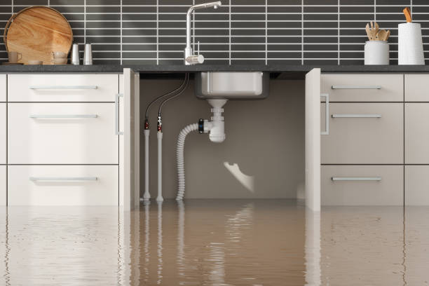 Best Fire Damage Restoration  in Van Meter, IA