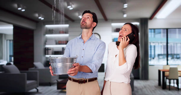 Best Fire Damage Restoration  in Van Meter, IA