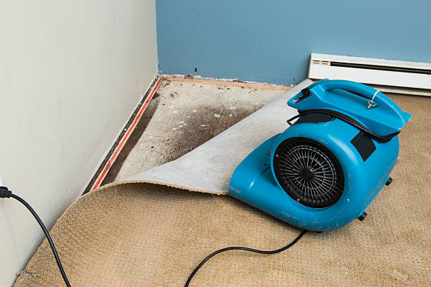 Best Water damage restoration near me  in Van Meter, IA